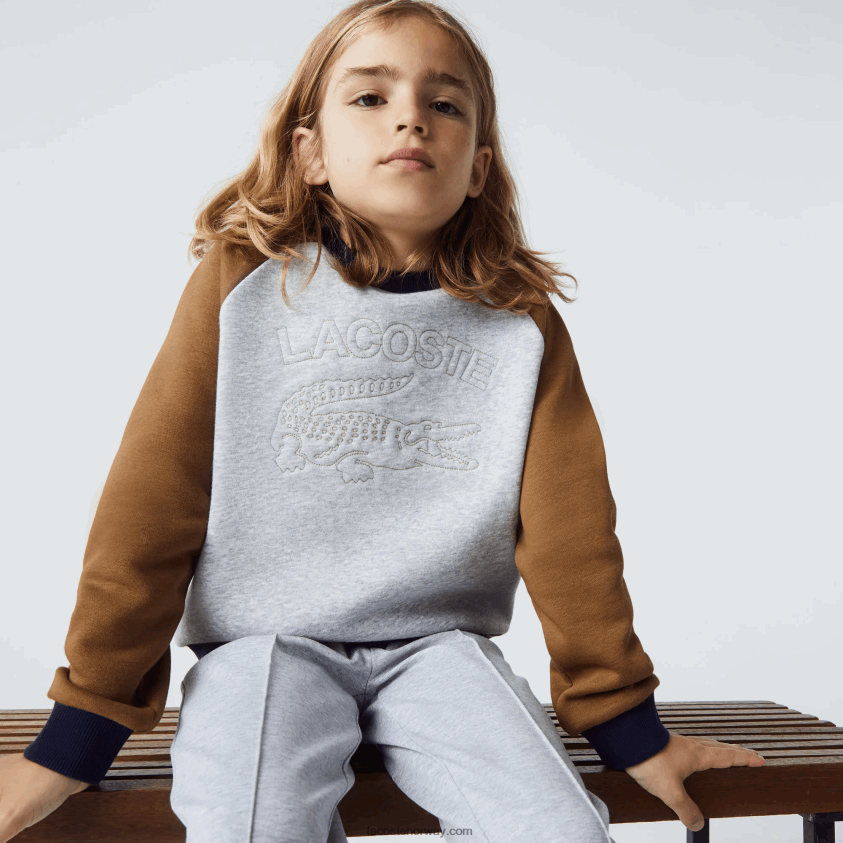 Lacoste merkede fargeblokkgenser 4J4X0T3195 grå chine brun marineblå ne1 gutter