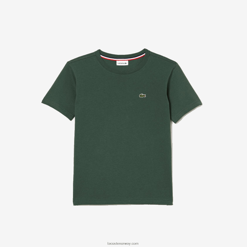 Lacoste t-skjorte i bomullsjersey med rund hals 4J4X0T3149 grønn 5hx barn
