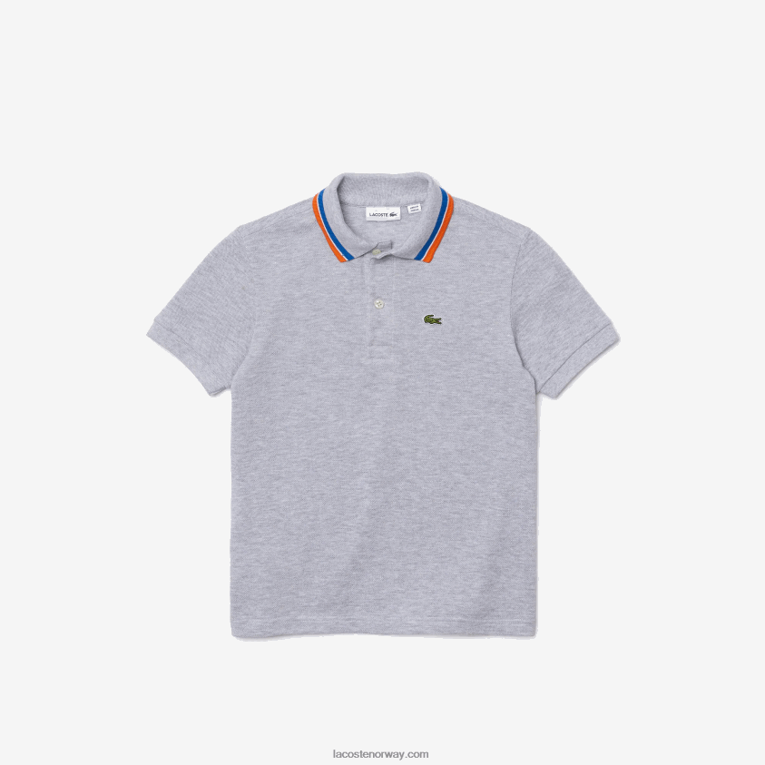 Lacoste tricolor krage bomull petit pique polo 4J4X0T2953 grå kine hvit w9d gutter