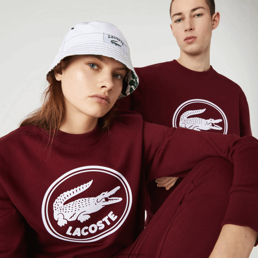Lacoste 3d-logo genser i økologisk bomullsfleece 4J4X0T1185 bordeaux z7f menn