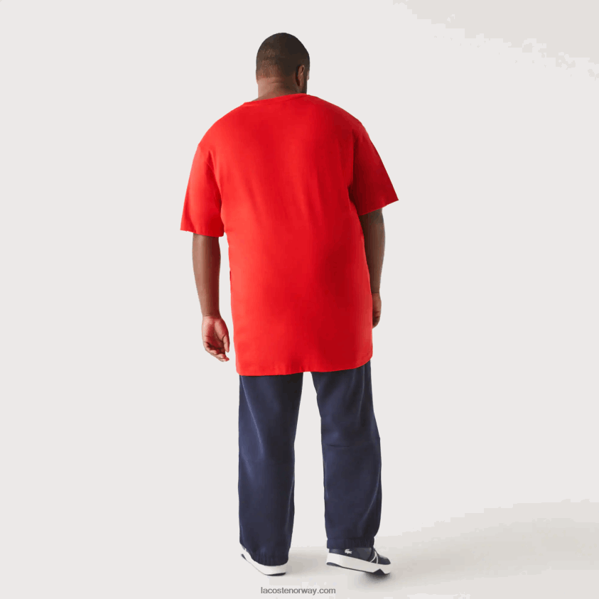 Lacoste bomullspoloskjorte med v-hals ribbet i vanlig passform (plus size) 4J4X0T709 rød 240 menn