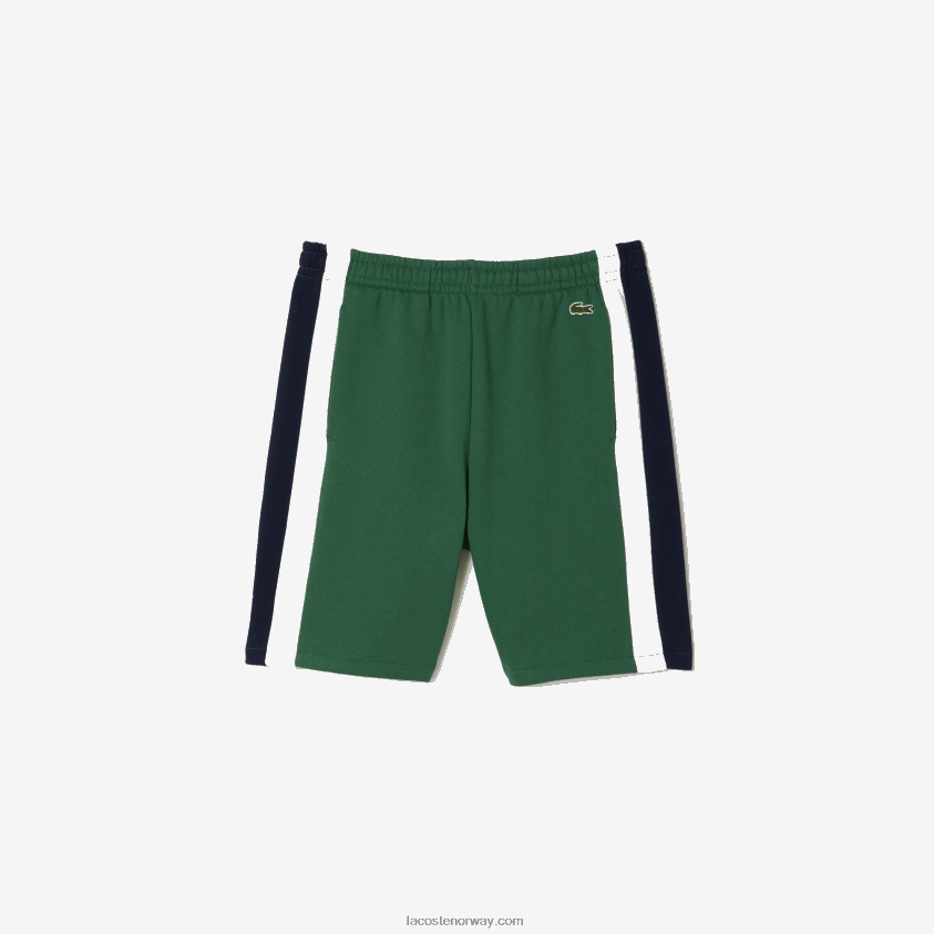 Lacoste shorts i børstet fleece 4J4X0T456 grønn marineblå hvit wn7 menn