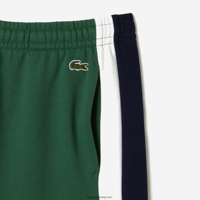 Lacoste shorts i børstet fleece 4J4X0T456 grønn marineblå hvit wn7 menn