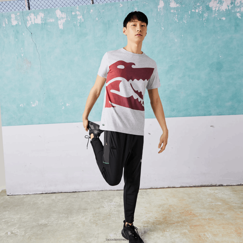 Lacoste sport novak djokovic t-skjorte i kroko økologisk bomull 4J4X0T871 grå kine cca menn